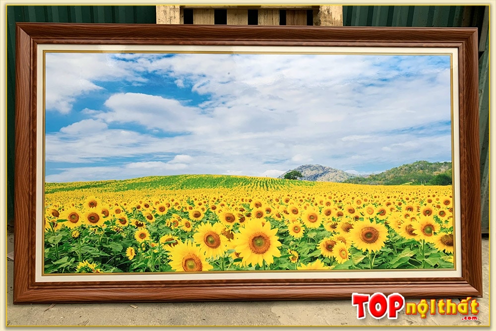 Tranh phong cảnh đồng hoa hướng dương TraTop-1533 | Top Nội Thất